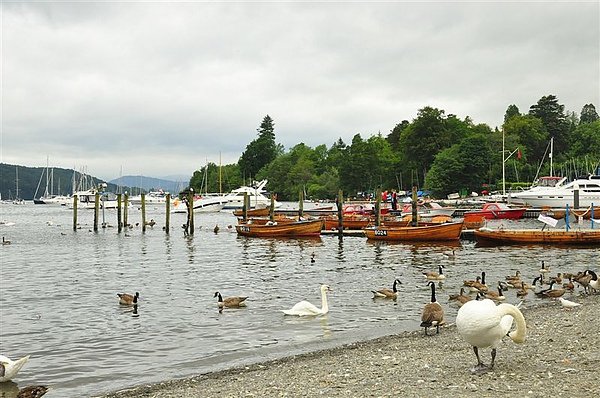 DSC_1108.JPG
