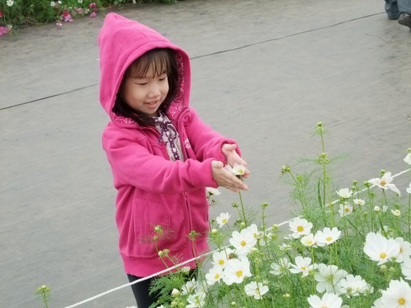 DSCF3479.JPG