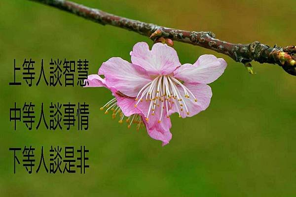 上中下等人.jpg