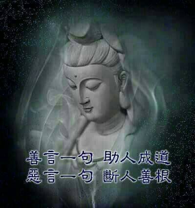 善言2.jpg
