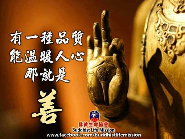 善言1.jpg