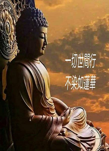 人美在心 話美在善