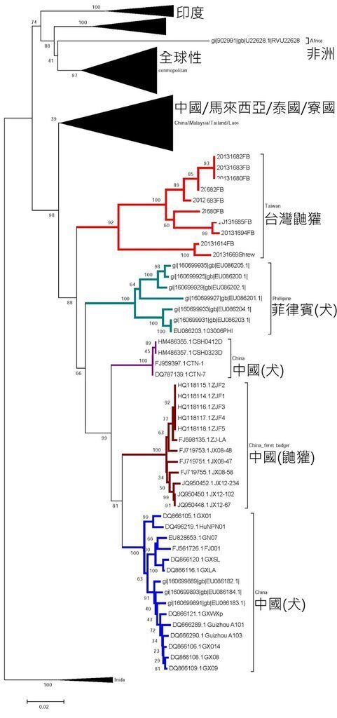 phylogenetic tree of fb and dogs 1st