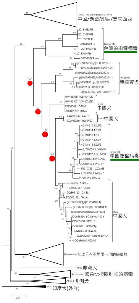 phylogenetic tree of fb and dogs