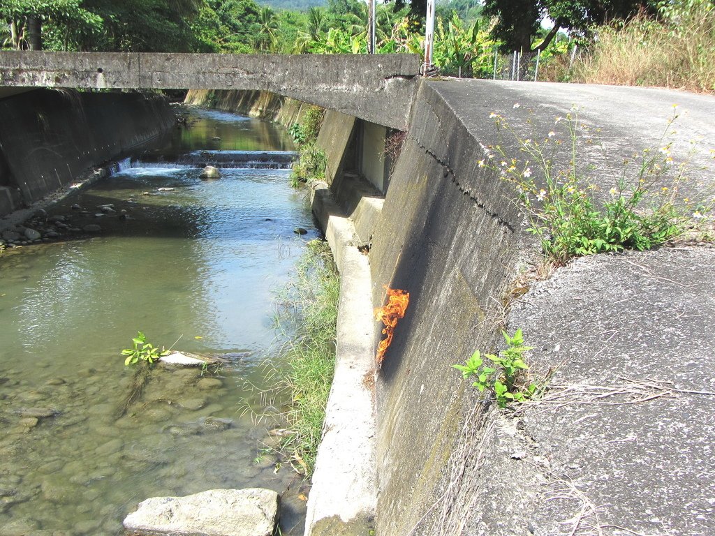 圖片1：大坵園出火仔的旺盛天然瓦斯（游永福，2019）.JPG