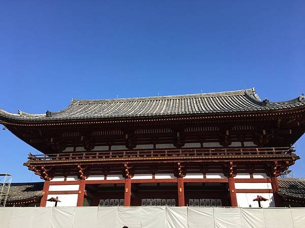 IMG_1041.JPG