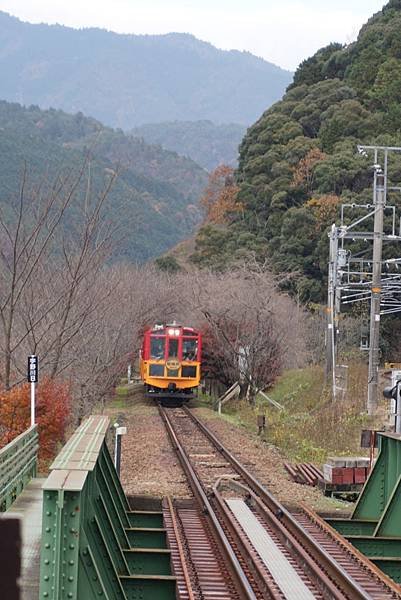 嵐山.JPG