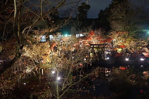 永觀堂 (11).JPG