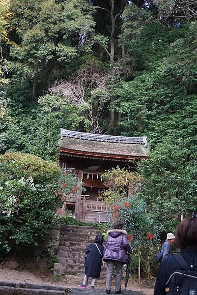 宇治 (23).JPG