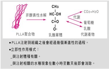 台中拉皮｜液態拉皮｜菲仕美01