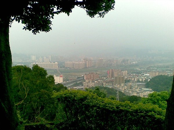 20100319(006).jpg