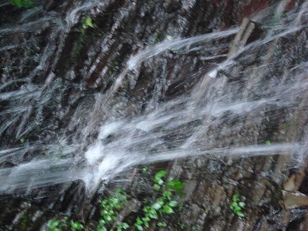 DSC00604.JPG