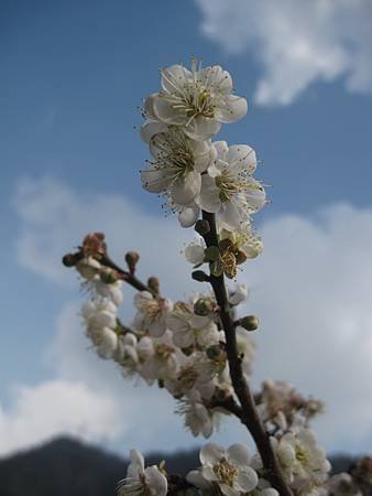 IMG_0756.JPG