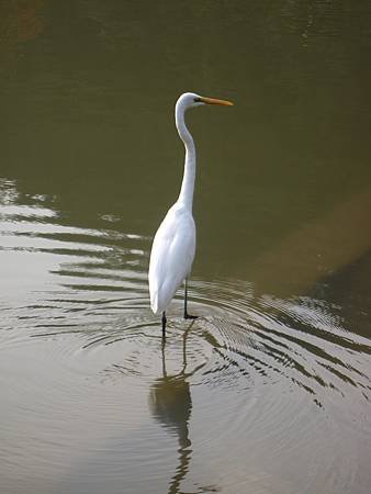 IMG_0857.JPG