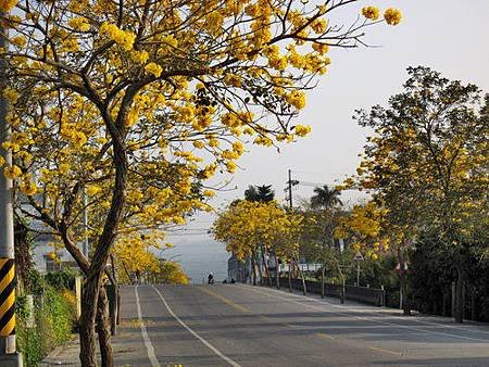 y1381718173_dbc3ca62_13.jpg