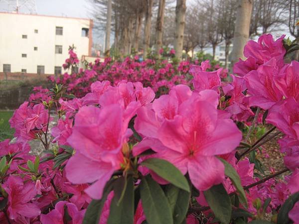 IMG_8490.JPG