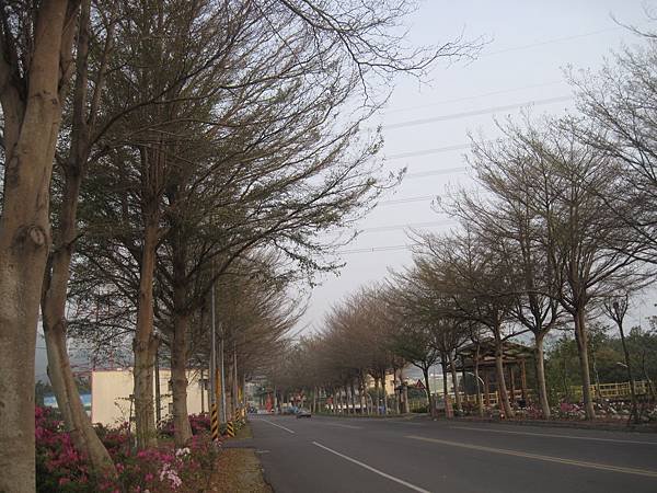 IMG_8510.JPG