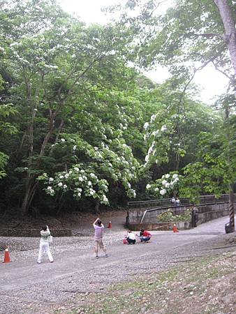 IMG_3687