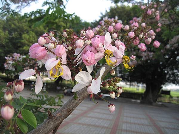 IMG_2792.JPG