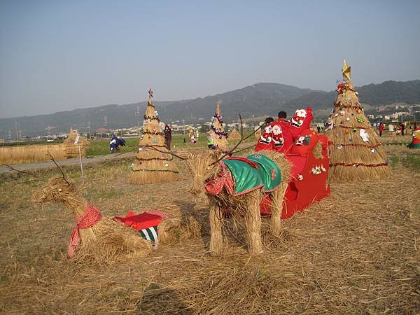 IMG_2549