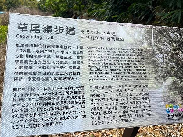 南投139縣道~草尾嶺步道~血藤花開了&amp;藤山步道~血藤花