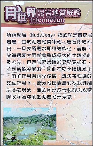 12825705_副本