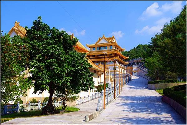 SAM_2270_副本.jpg