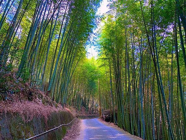 IMG_E4291_副本.jpg