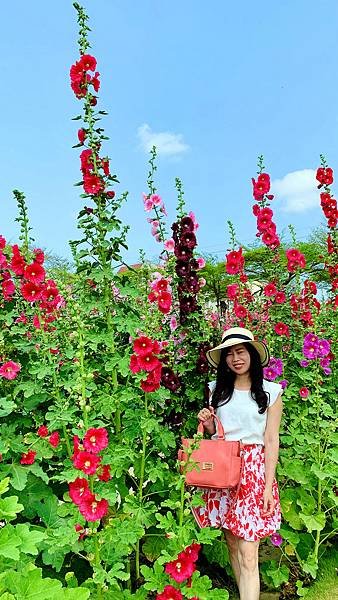 IMG_E9302_副本.jpg