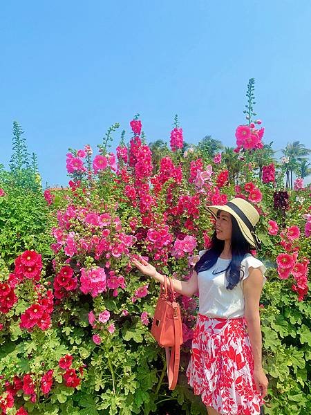 IMG_E9396_副本.jpg