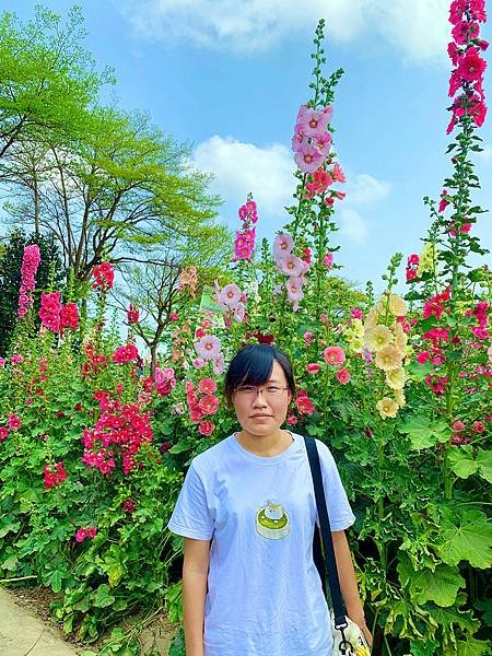 IMG_E9353_副本.jpg