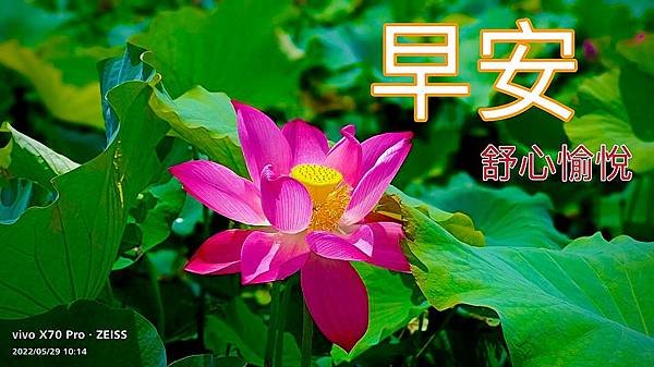 IMG_4444_副本.jpg