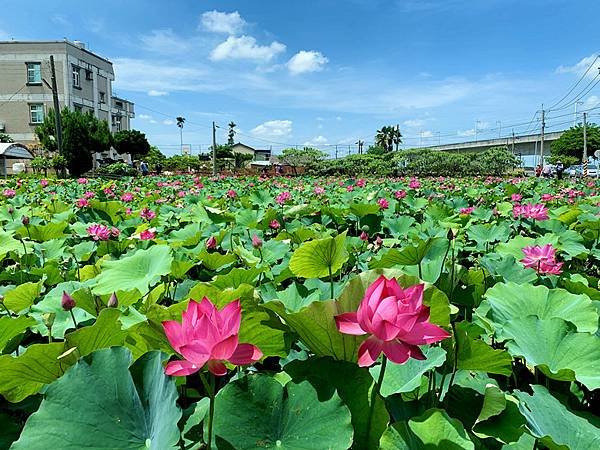 IMG_E4295_副本.jpg