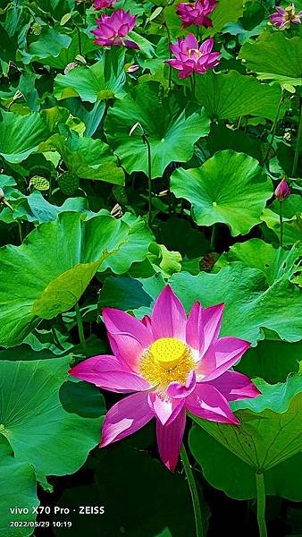 IMG_E4428_副本.jpg