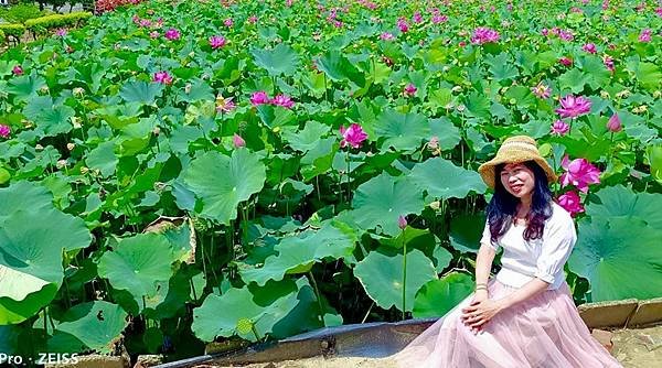 IMG_E4430_副本.jpg