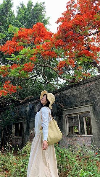 IMG_E5207_副本.jpg