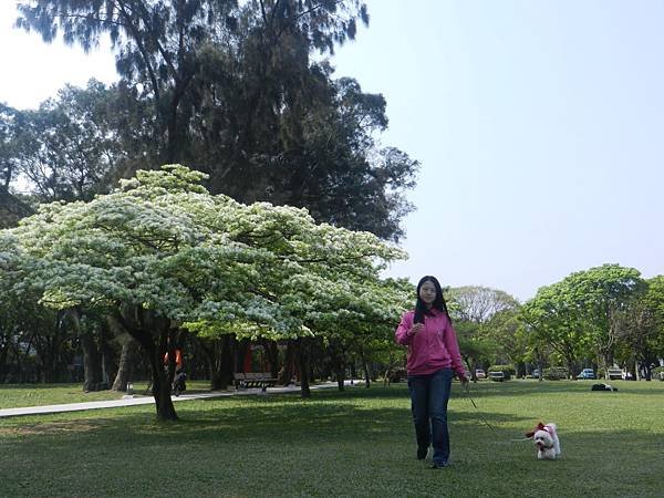 DSCN6108