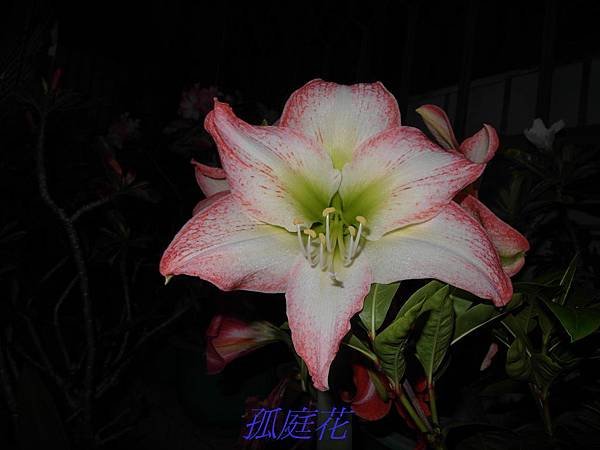 SAM_0324