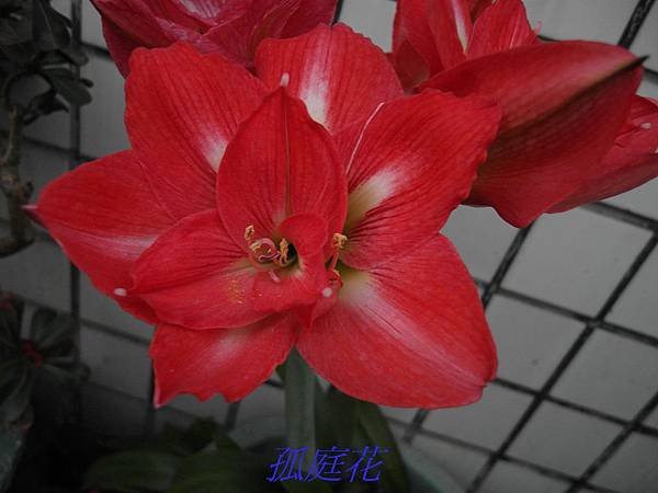 SAM_0327