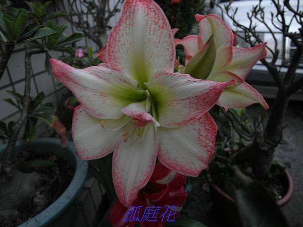 SAM_0325