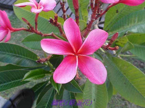 SAM_0305
