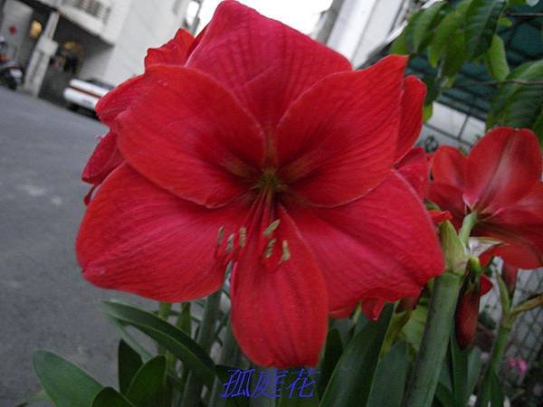 SAM_0329