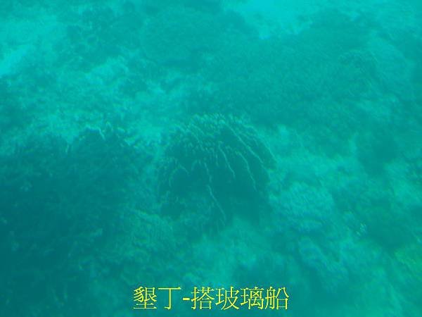 SAM_1337