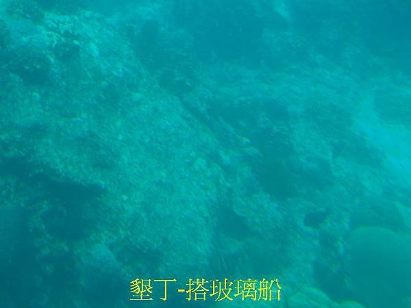 SAM_1335