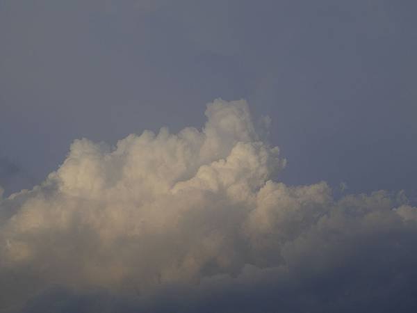 SAM_4395