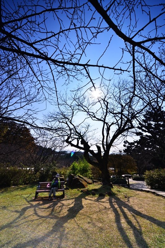 2015-新年-10.JPG