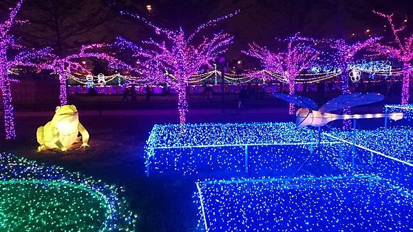 DSC_0178.JPG