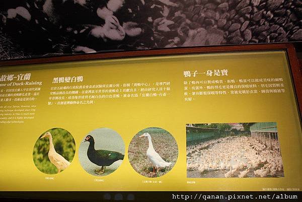 宜蘭礁溪 蘭陽博物館