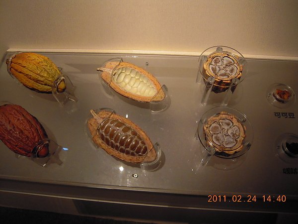 科博館巧克力展