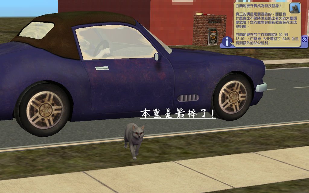 馬丁家18